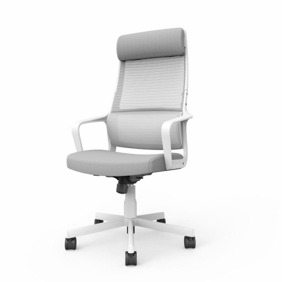 Task Chairs * | Promo Executive Chairs Furniture Of America Schmid Height Adjustable Swivel Office Chair